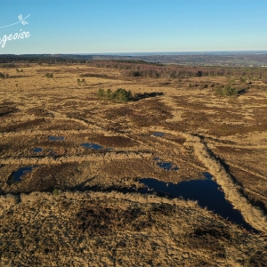 Fraisage dans la fagne de Malchamps