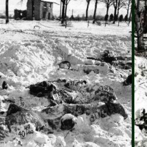 17-12-1944  Le massacre de Baugnez