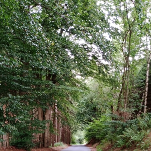 La descente vers le "Val d'Arimont"