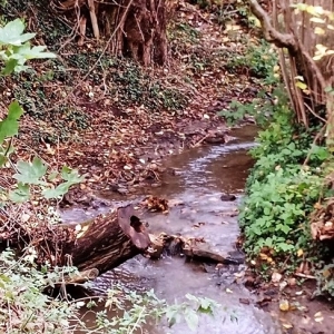 Promenade du "Thier des Oies"