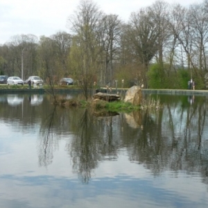 Bellevaux : l 'etang de peche " Etangs du menhir " -080/339291 - http://www.les -etangs-du-menhir.be )