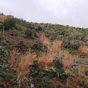 Noël à Riomaggiore ( photo : F. Detry )
