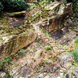 Noël à Riomaggiore ( photo : F. Detry )