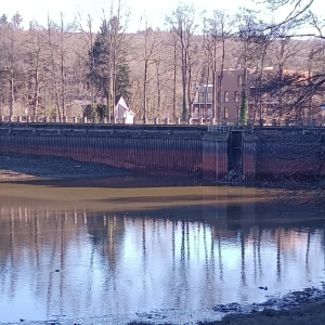 2023-02-13 Lac de Warfaaz ( Photo : F. Detry ) 2023-02-13 Lac de Warfaaz ( Photo : F. Detry )