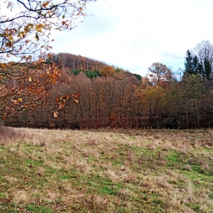 La réserve naturelle de la Warchenne 