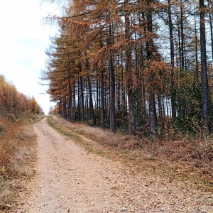 Entrée de la carrière « Les moellons de Pierre de Waimes et de Schauss » 