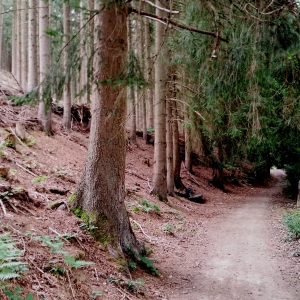 En bordure de la Warchenne