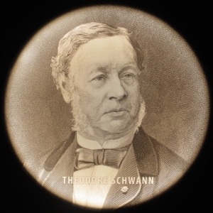 Théodore Schwann, physiologiste, histologiste et cytologiste allemand