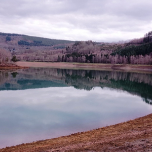 Le bassin inférieur ( photo F. Detry )