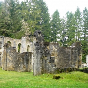 Les ruines actuelles de l' eglise  de Louvemont