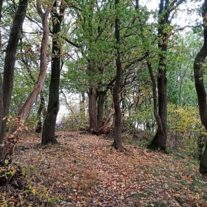 Promenade du "Thier des Oies"