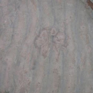 Trace fossile pres de Ouarzazate