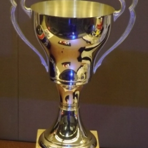 Le Rallye belge en miniature