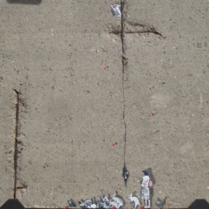 Plovdiv, together 2019