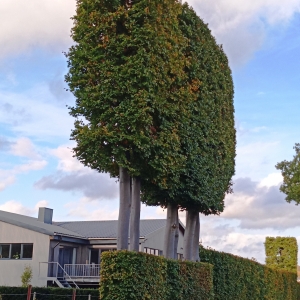 W 14 « Le tour des Hauts Sarts » W 14 « Le tour des Hauts Sarts »