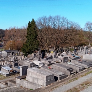 42) Le cimetière de Verviers   ( Photo F. Detry ) 