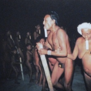 "Le Monde Premier" ( JP Dutilleux ) 2018