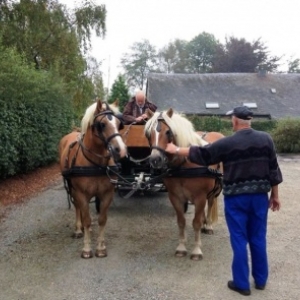 Balade en terre d’Artisans à Gueuzaine et Champagne ( Waimes ) 