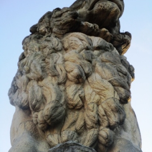 Le lion