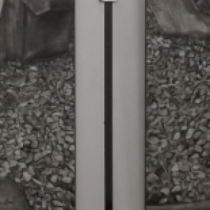 Peintures de Cynthia EVERS