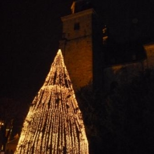 Le Sapin du Record Le Sapin du Record