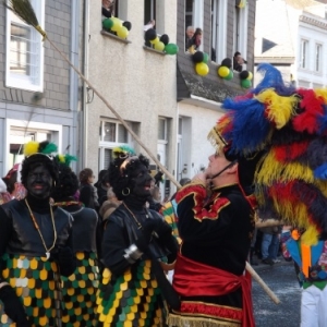 Cwarmè 2015       Dimanche de carnaval à Malmedy