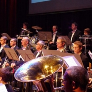 Brass Band ( 01.2014 )