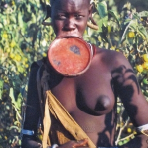 "Le Monde Premier" ( JP Dutilleux ) 2018