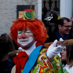 Cwarmè 2015       Dimanche de carnaval à Malmedy