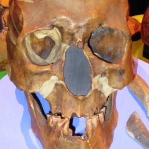 Crane d'il y a 45000 ans