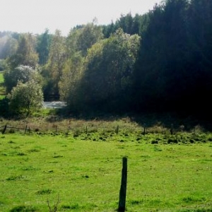 La reserve naturelle de Kalebum