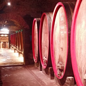 Les caves du "Castel del Trebbio" ( photo F. Detry )