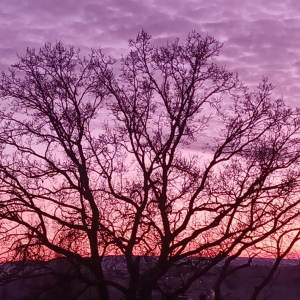 Coucher de soleil ( photo F. Detry )