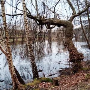 Autour du lac