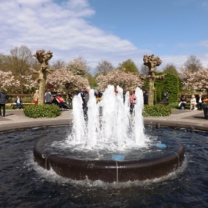   Les printemps  colorés de Keukenhof         