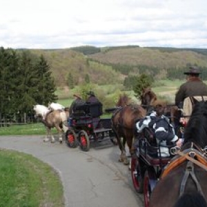 Cantons de l'Est                          Le paradis pour les cavaliers ?