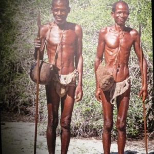 "Le Monde Premier" ( JP Dutilleux ) 2018