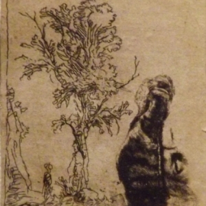 Feuille avec 2 etudes : un arbre et la partie superieure avec la tete de l'artiste portant un bonnet de velours  ( 1638 )