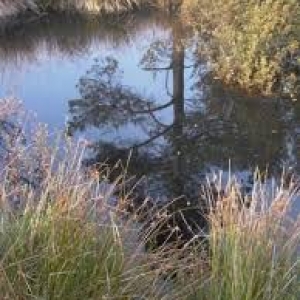 Les Journées wallonnes de l’Eau, c’est comme vous voulez, quand vous voulez et où vous voulez !