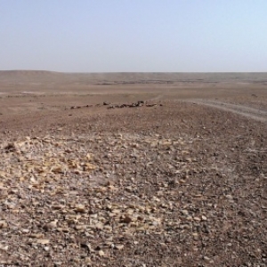 Pistes du desert