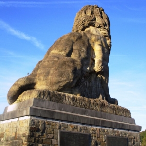 Le lion