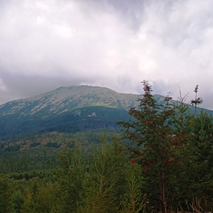 Vue sur les Hautes Tatras ( photo : F. Detry )