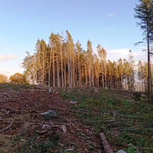 W 14 « Le tour des Hauts Sarts » W 14 « Le tour des Hauts Sarts »