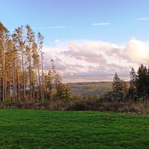 W 14 « Le tour des Hauts Sarts » W 14 « Le tour des Hauts Sarts »