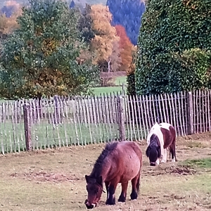 W 14 « Le tour des Hauts Sarts » W 14 « Le tour des Hauts Sarts »