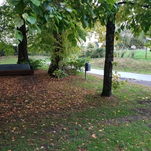 Comme ici à Eynatten, les premiers piliers en bois ont été installés pour le système des points-noeuds. (Photo ©ostbelgium.eu)