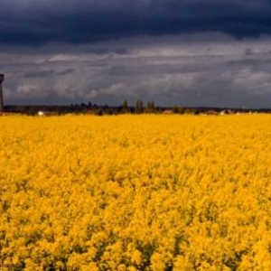 L’écologie à tout prix … et les revers de la médaille !