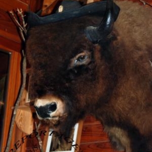 Hommage à Pierre Rapsat Hommage à Pierre Rapsat