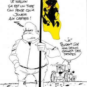 Wallons Wallons