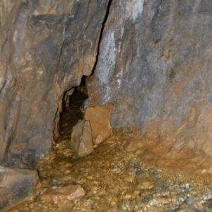 Sous terre La source de la Tridaine